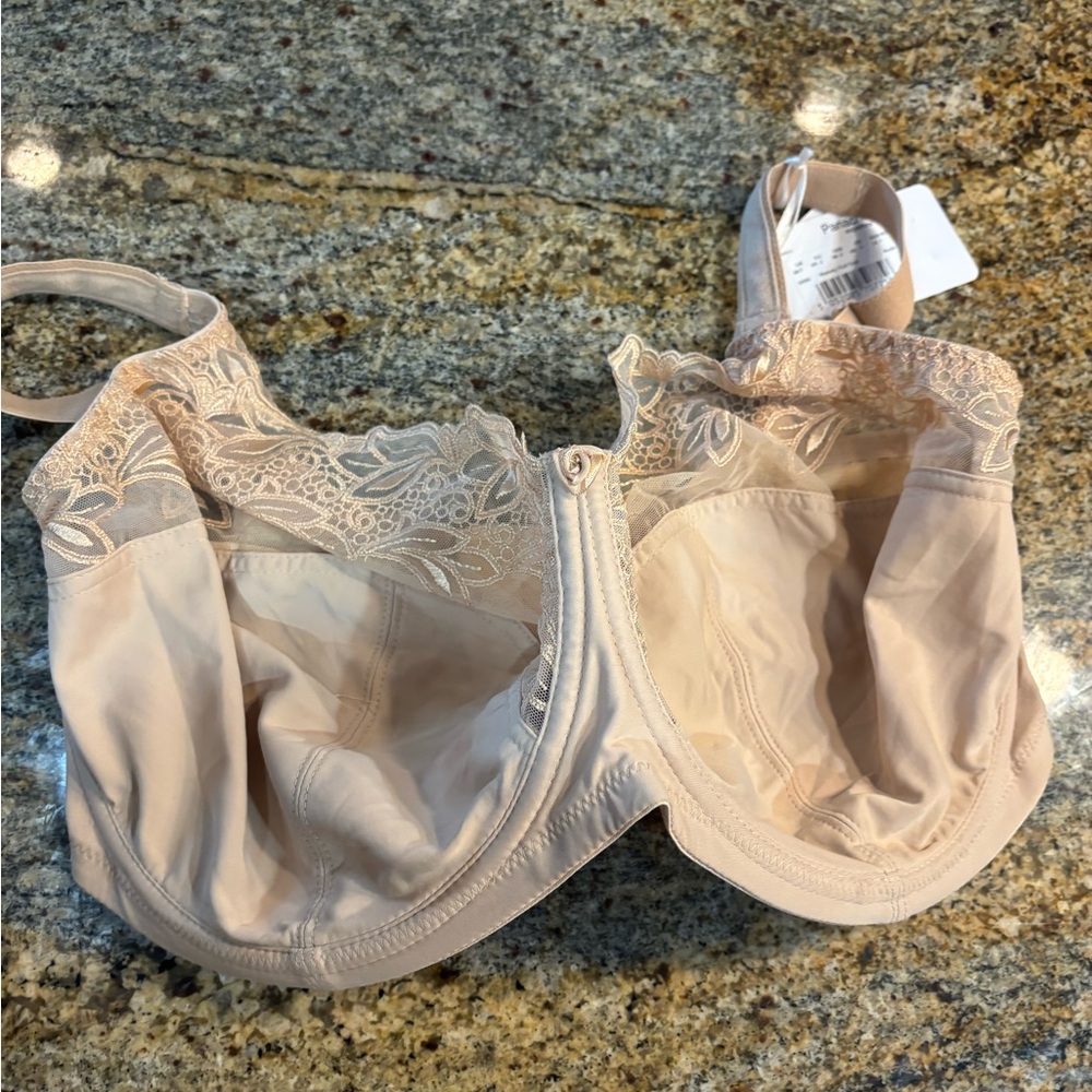 Panache Lace Detail Bra in Cream